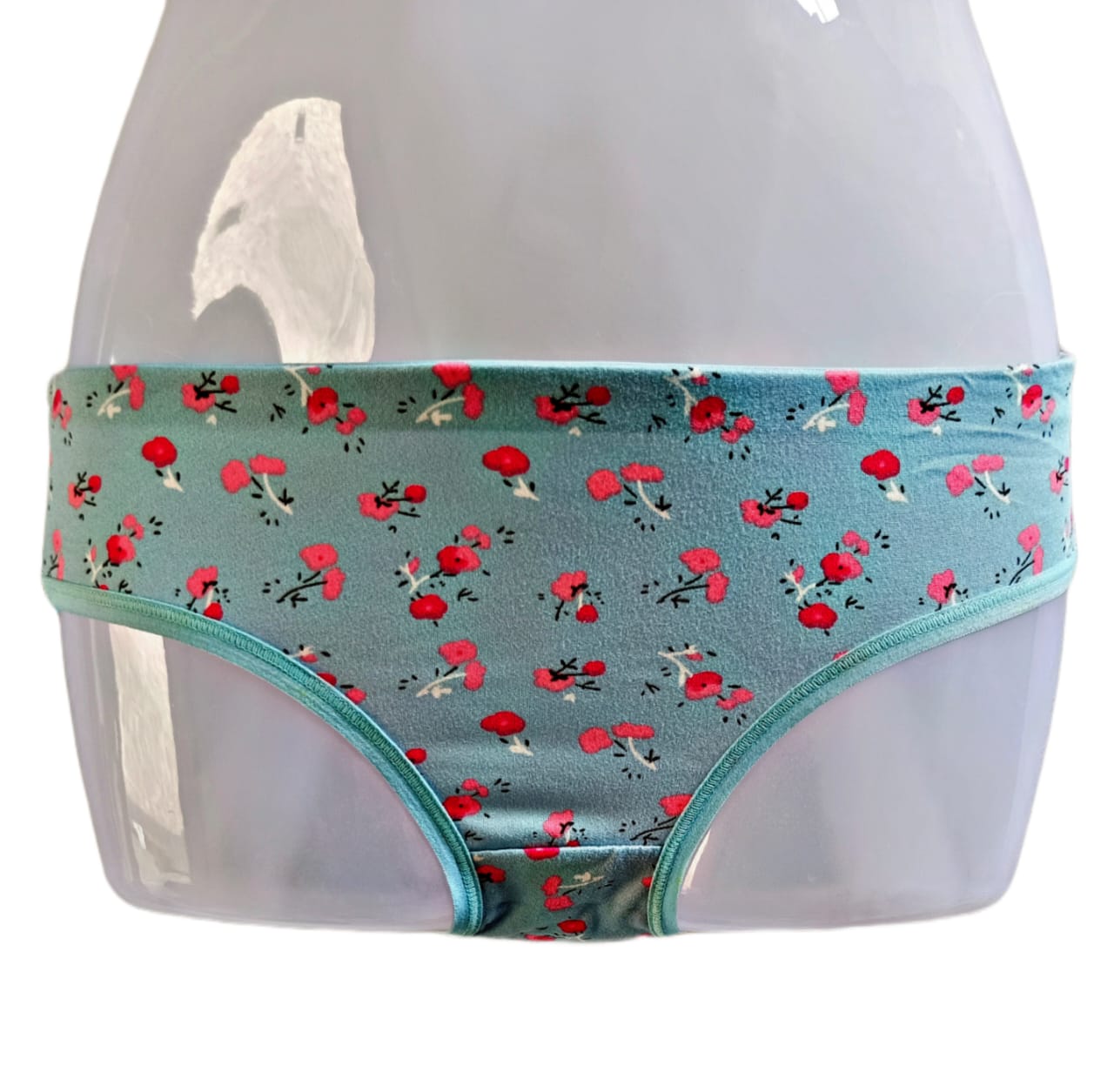 SALONI IRIS BRIEFS FOR GIRLS PACK OF 6