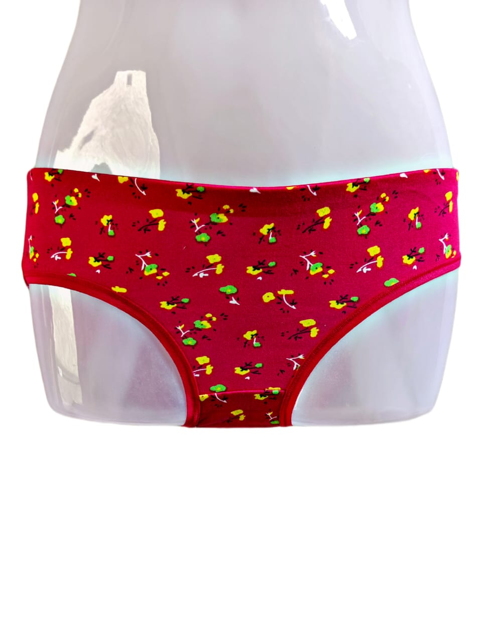SALONI IRIS BRIEFS FOR GIRLS PACK OF 6